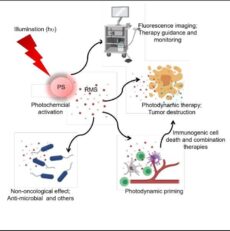 new- short- article in recognition of World Cancer Research Day!